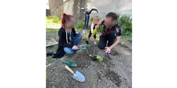 Le projet potager porte ses fruits !